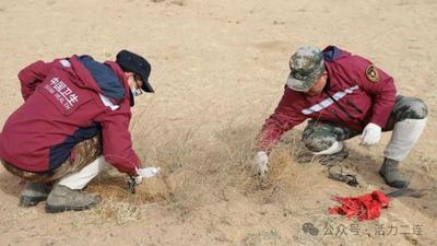 筑牢第一道防線！二連浩特市春季鼠疫防控工作有序推進(jìn)