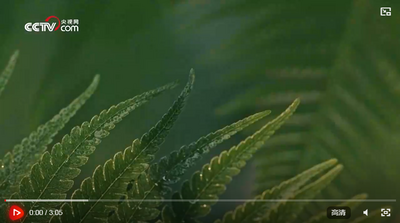 時政微視頻｜山海尋夢闊步行