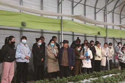 京蒙同心繪新卷 協(xié)作賦能啟新程