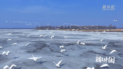 瞰中国｜内蒙古开鲁：春水解冻时 万羽如期至