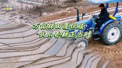 甘肃:万亩梯田覆银膜 武山春耕正当时