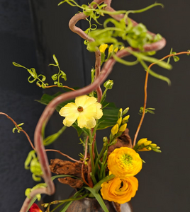 草木有言，當(dāng)游牧風(fēng)撞上非遺藝……