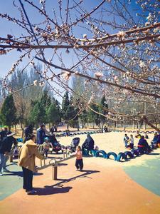 一城春色半城緋