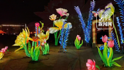 正月十五賞花燈 小草公園國潮游園會美不勝收