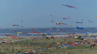 免費(fèi)嘗鮮！烏海本周六好吃、好玩→