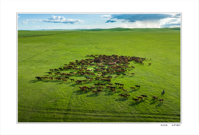 憑賽事“寵客”！通遼多家景區(qū)為“東北超”“蒙超”送福利  
