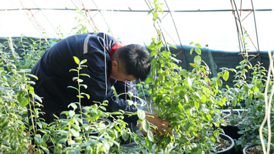 正鑲白旗這些產(chǎn)業(yè)園、種植園已建成！可采摘、研學(xué)！