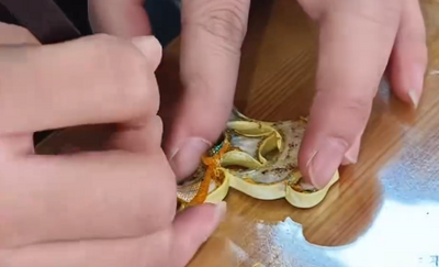 玉泉區(qū)巾幗創(chuàng)業(yè)就業(yè)主題活動開啟