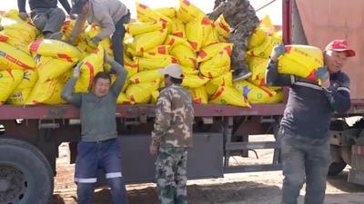 人勤春來(lái)早！阿拉善春耕備播掀起熱潮