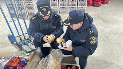 二連浩特口岸：出口果蔬飄紅 量質(zhì)齊升勢(shì)頭旺