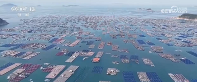 從追求產(chǎn)量到綠色引領(lǐng) 中國水產(chǎn)養(yǎng)殖業(yè)為全球漁業(yè)轉(zhuǎn)型提供“中國方案”