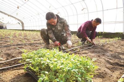 人勤春來早 萬象“耕”新時(shí)  九原區(qū)全面啟動春耕備耕工作