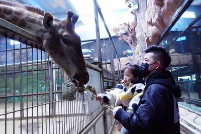 鄂爾多斯野生動(dòng)物園激活春季文旅消費(fèi)潛力迎來強(qiáng)勢“開年紅”