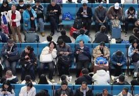 2026年春运迎最后一天 全社会跨区域人员流动量已超90亿人次