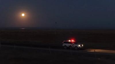 藏藍護候鳥 達里湖畔繪就共生美景