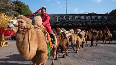 阿拉善：文旅揚帆正勁 逐夢遠航當時