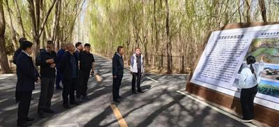 自治區(qū)森林草原防滅火第三檢查指導工作組深入巴彥淖爾市督導春季防滅火工作