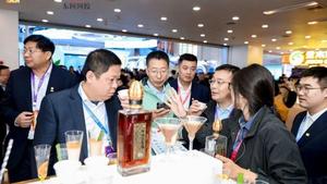 驼乡连泉城：一条航线背后的“双向奔赴”