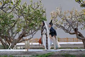 甘肃敦煌：春到大漠