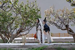 甘肅敦煌：春到大漠