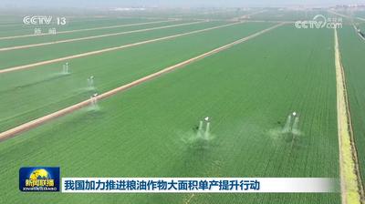 我國加力推進糧油作物大面積單產(chǎn)提升行動
