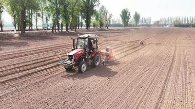 土右旗：130余萬畝玉米春播正酣