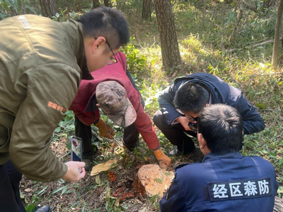 陽光財險：發(fā)揮“綠色金融”之力 守護美麗中國