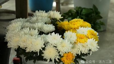 文明祭掃！二連浩特市清明祭祀鮮花市場供銷兩旺