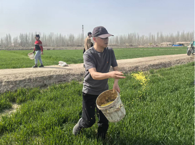 方言反詐進(jìn)農(nóng)田！中國(guó)人壽為春耕農(nóng)戶織密“金融防護(hù)網(wǎng)”