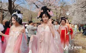 相约“杏福树下”！2026“春游内蒙古”赏花季启幕