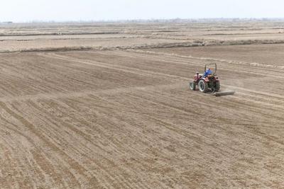 16歲扛鋤頭，55歲用北斗！“老把式”種地40年，越種越輕松