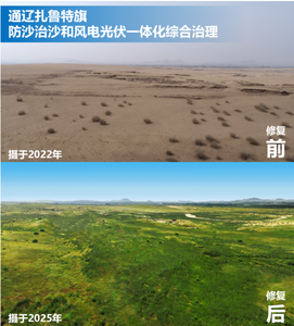 專利走向“產(chǎn)業(yè)鏈”，蒙草生態(tài)亮出生態(tài)“知產(chǎn)家底”