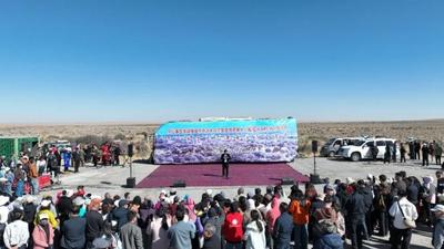 沙海藏春韻！阿拉善左旗蒙古扁桃特色文旅活動精彩啟幕