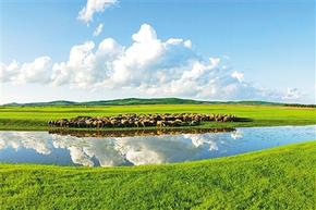 天邊草原的生命與守望——評(píng)艾平散文集《天生草原》