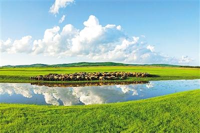 天邊草原的生命與守望——評艾平散文集《天生草原》