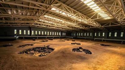 通遼拍了拍你：“東北超”即將開場，速來！