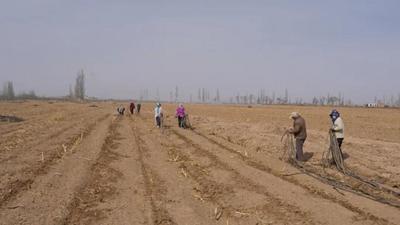 走一線 改文風(fēng)丨孿井灘示范區(qū)：種養(yǎng)循環(huán) 春耕向“綠”