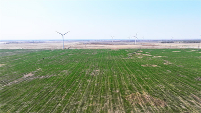 開魯縣：構(gòu)建“羊草+”全產(chǎn)業(yè)鏈生態(tài) 激活綠色發(fā)展新引擎