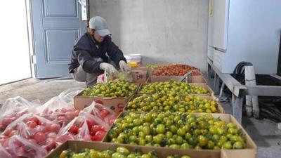 以技興農(nóng) 以貿(mào)促富！二連浩特市走出口岸特色鄉(xiāng)村振興之路