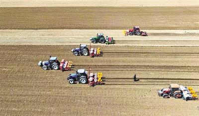 科技興農事 良種孕豐年