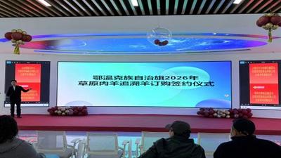 2萬(wàn)余只！鄂溫克旗草原肉羊“持證上崗” 簽約認(rèn)購(gòu)工作全面落地