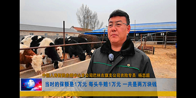 中國人壽財險赤峰市中心支公司員工入選行業(yè)先進人物，事跡登上《赤峰新聞》