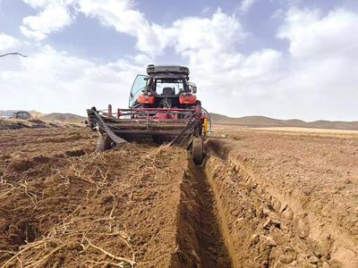 固陽縣：  一“芪”繪就田野好“豐”景