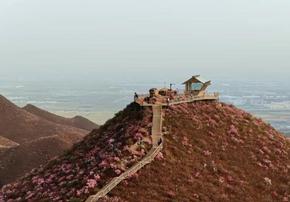 內(nèi)蒙古：赴青山賞花海