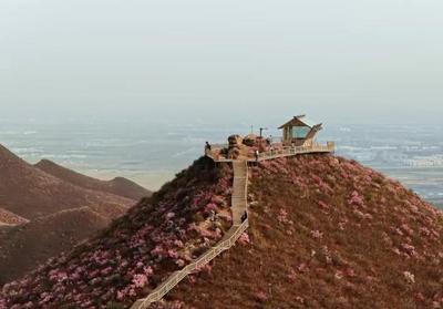 內(nèi)蒙古：赴青山賞花海