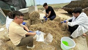 博士勾长龙：把论文写在牧野田间