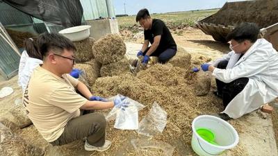 博士勾長龍：把論文寫在牧野田間