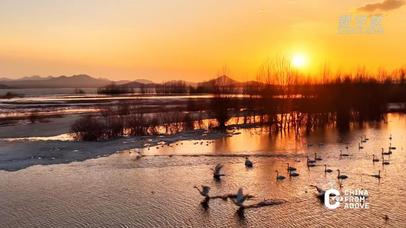 瞰中国丨内蒙古赤峰：宝冷水库迎北迁天鹅