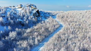 春風(fēng)銜雪 林海凝霜