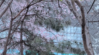 4月18日又將出現(xiàn)一次大風(fēng)沙塵降溫天氣